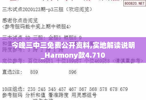 今晚三中三免费公开资料,实地解读说明_Harmony款4.710