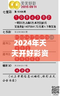 2024年天天开好彩资料56期,实地验证方案_定制版3.205