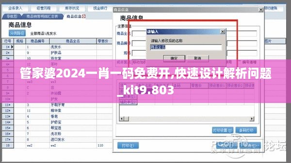 管家婆2024一肖一码免费开,快速设计解析问题_kit9.803