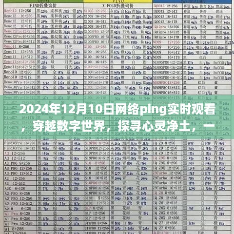 穿越数字世界的实时旅行，探寻心灵净土的网络Ping之旅