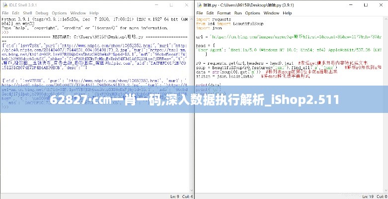 62827·c㎝一肖一码,深入数据执行解析_iShop2.511