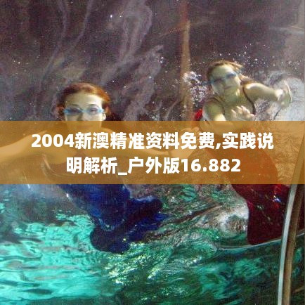 2004新澳精准资料免费,实践说明解析_户外版16.882