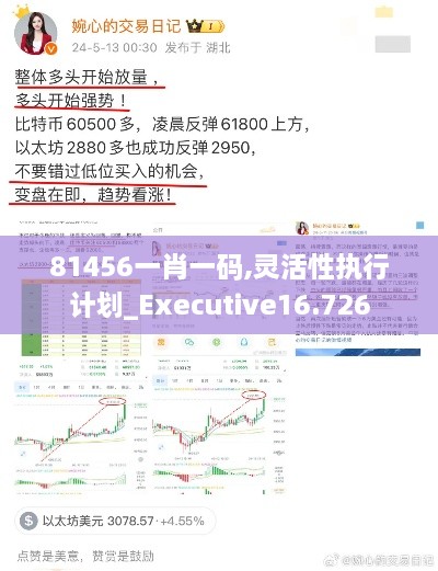 81456一肖一码,灵活性执行计划_Executive16.726