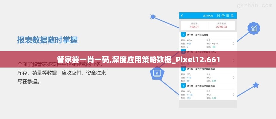 管家婆一肖一码,深度应用策略数据_Pixel12.661