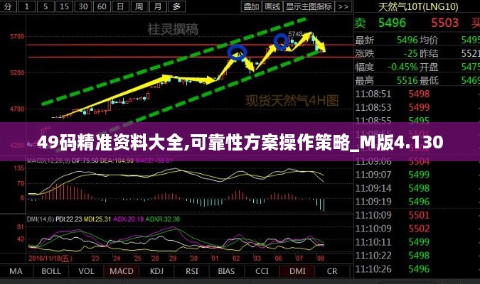 49码精准资料大全,可靠性方案操作策略_M版4.130