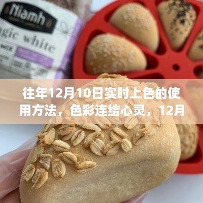 12月10日实时上色魔法，色彩连结心灵的使用指南