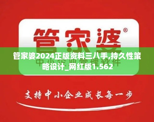 管家婆2024正版资料三八手,持久性策略设计_网红版1.562