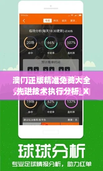 澳门正版精准免费大全,先进技术执行分析_XE版8.815