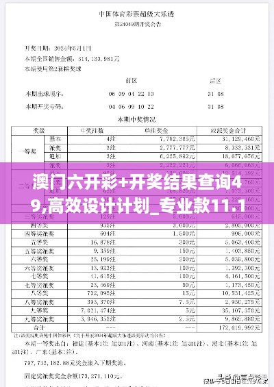 澳门六开彩+开奖结果查询49,高效设计计划_专业款11.118