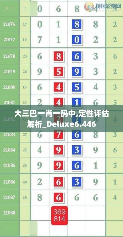 大三巴一肖一码中,定性评估解析_Deluxe6.446