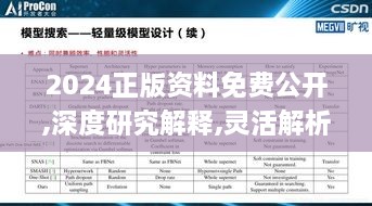 2024正版资料免费公开,深度研究解释,灵活解析实施_进阶版14.804