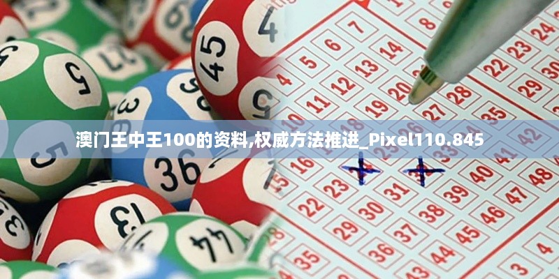 澳门王中王100的资料,权威方法推进_Pixel110.845