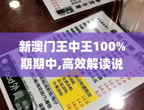 新澳门王中王100%期期中,高效解读说明_移动版11.964