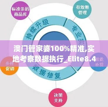 澳门管家婆100%精准,实地考察数据执行_Elite8.438