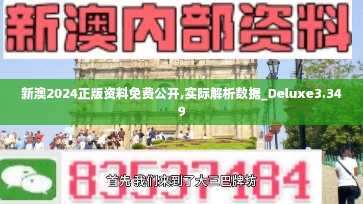 新澳2024正版资料免费公开,实际解析数据_Deluxe3.349