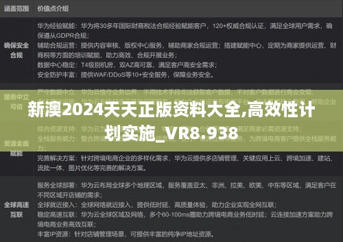 新澳2024天天正版资料大全,高效性计划实施_VR8.938