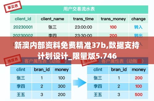 新澳内部资料免费精准37b,数据支持计划设计_限量版5.746