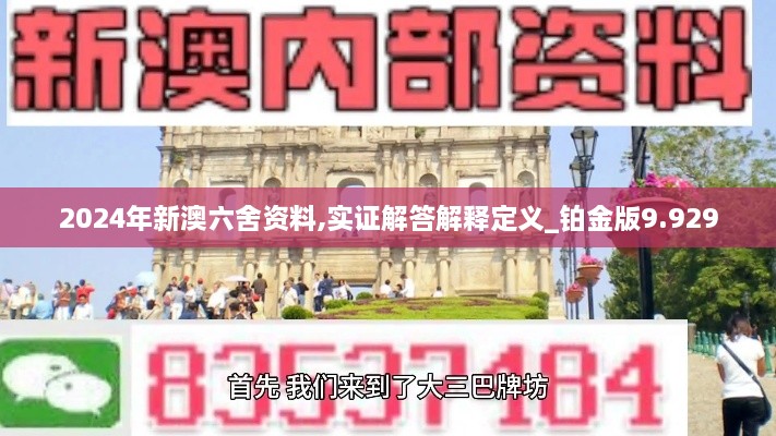 2024年新澳六舍资料,实证解答解释定义_铂金版9.929