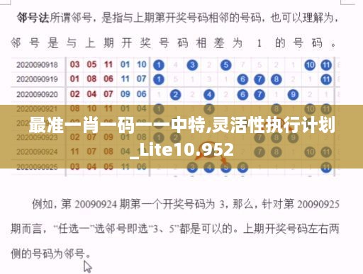 最准一肖一码一一中特,灵活性执行计划_Lite10.952