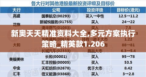 新奥天天精准资料大全,多元方案执行策略_精英款1.206