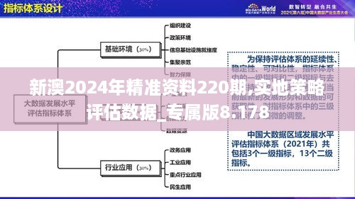 新澳2024年精准资料220期,实地策略评估数据_专属版8.178