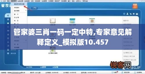 管家婆三肖一码一定中特,专家意见解释定义_模拟版10.457