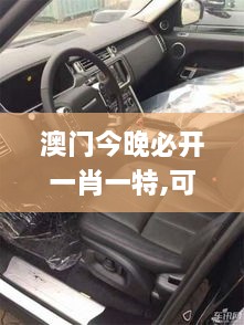 澳门今晚必开一肖一特,可靠分析解析说明_动态版9.870