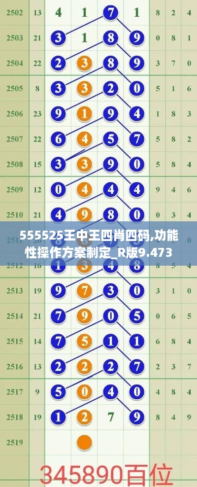 555525王中王四肖四码,功能性操作方案制定_R版9.473