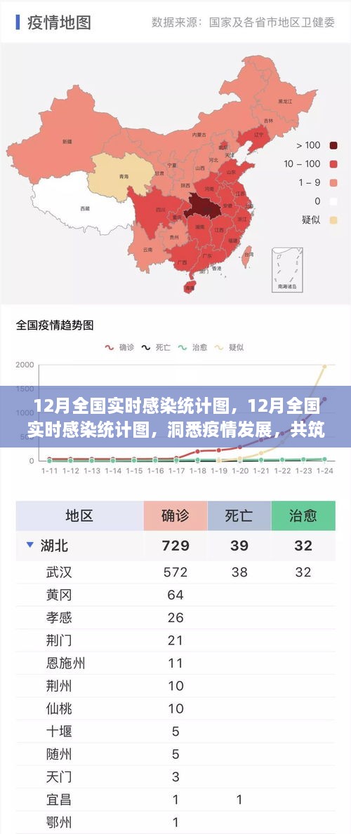 12月全国实时感染统计图，洞悉疫情，共筑防控新防线