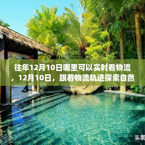 12月10日物流追踪之旅，自然怀抱的心灵探索之旅