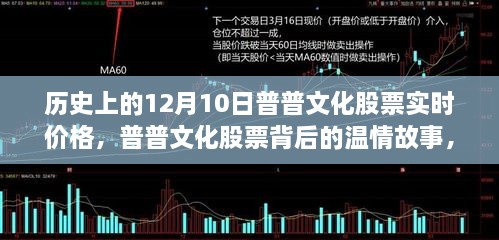 普普文化股票实时价格背后的温情故事，友情与陪伴的温馨日常纪实（十二月十日历史回顾）