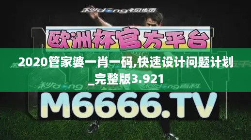 2020管家婆一肖一码,快速设计问题计划_完整版3.921