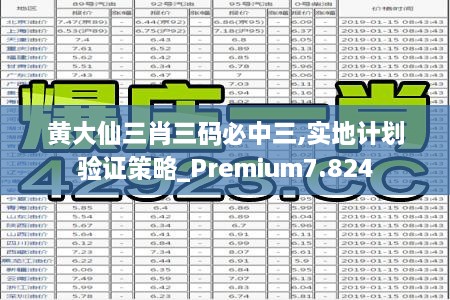 黄大仙三肖三码必中三,实地计划验证策略_Premium7.824