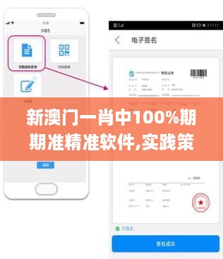 新澳门一肖中100%期期准精准软件,实践策略实施解析_移动版13.115