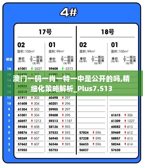 澳门一码一肖一特一中是公开的吗,精细化策略解析_Plus7.513