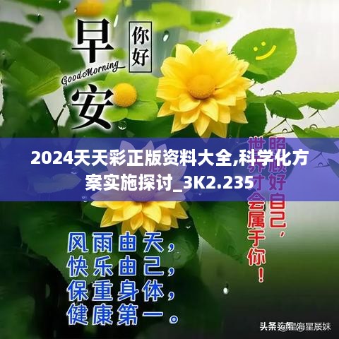 2024天天彩正版资料大全,科学化方案实施探讨_3K2.235