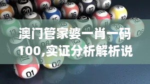 澳门管家婆一肖一码100,实证分析解析说明_PalmOS6.249