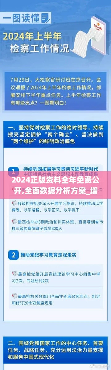 2024正版资料全年免费公开,全面数据分析方案_增强版13.833