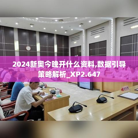 2024新奥今晚开什么资料,数据引导策略解析_XP2.647