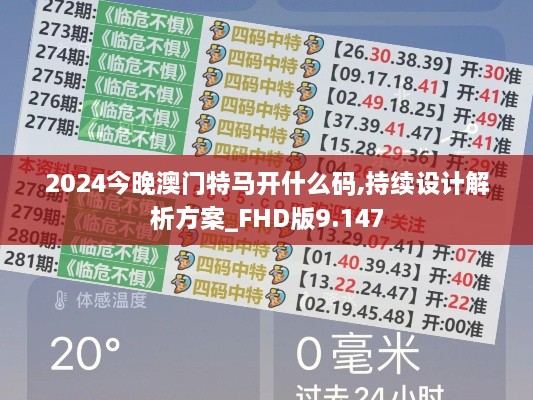 2024年12月13日 第13页