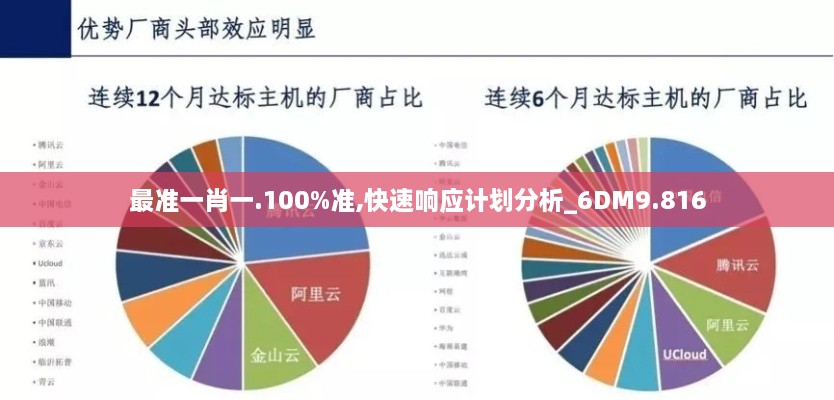 最准一肖一.100%准,快速响应计划分析_6DM9.816