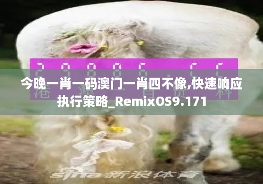 今晚一肖一码澳门一肖四不像,快速响应执行策略_RemixOS9.171