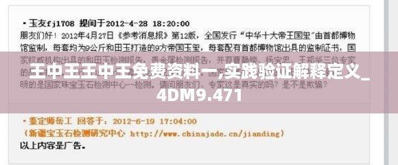 王中王王中王免费资料一,实践验证解释定义_4DM9.471