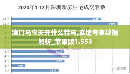 澳门马今天开什么特马,实地考察数据解析_苹果版1.553