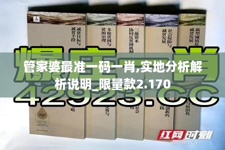 管家婆最准一码一肖,实地分析解析说明_限量款2.170