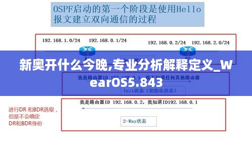 新奥开什么今晚,专业分析解释定义_WearOS5.843