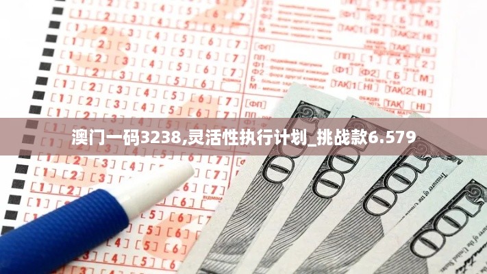 澳门一码3238,灵活性执行计划_挑战款6.579