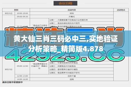 黄大仙三肖三码必中三,实地验证分析策略_精简版4.878