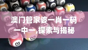 澳门管家婆一肖一码一中一,探索与揭秘_旗舰款2.334