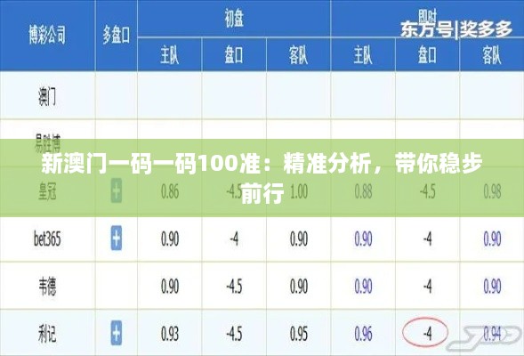 新澳门一码一码100准：精准分析，带你稳步前行